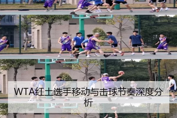 WTA红土选手移动与击球节奏深度分析